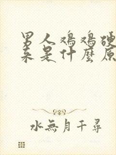 男人鸡鸡硬不起来是什么原因