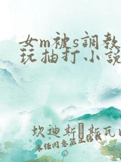 女m被s调教虐玩抽打小说