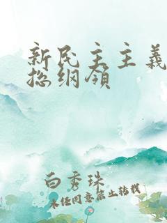 新民主主义革命总纲领