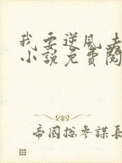 我要逆风去原著小说免费阅读