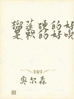 榴莲硬的好吃还是软的好吃不好吃