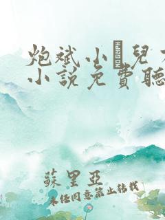 炮斌小苮儿有声小说免费听书