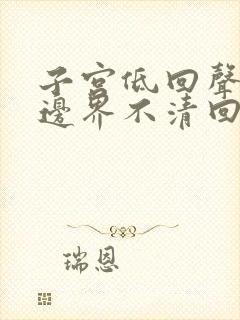 子宫低回声结节边界不清回声不均匀