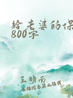 给老婆的保证书800字