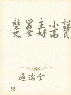 双男主小说推荐文笔好高质量