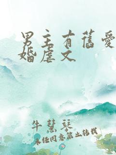男主有旧爱的军婚虐文