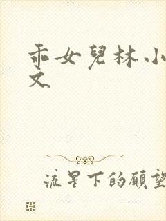 乖女儿林小喜全文