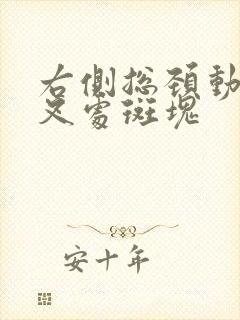 右侧总颈动脉分叉处斑块