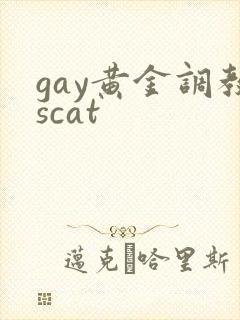 gay黄金调教scat