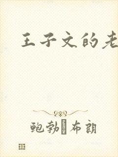 王子文的老公