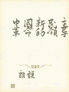 中国新民主主义革命的领导者是