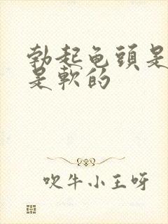 勃起龟头是硬还是软的