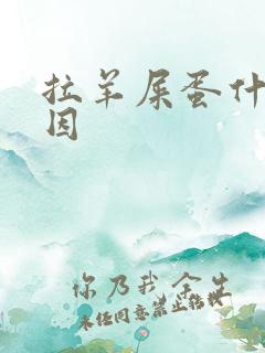 拉羊屎蛋什么原因