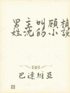 男主叫顾桢女主姓沈的小说