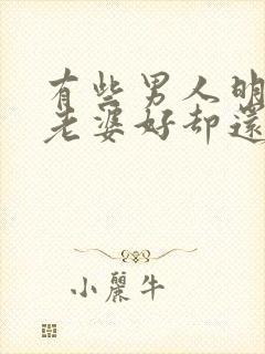 有些男人明明对老婆好却还是出轨