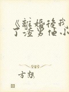 《离婚后我嫁给了渣男他小叔》小说