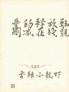 爱的释放韩国无删减在线观看