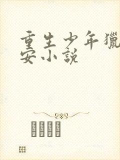 重生少年猎美赵安小说