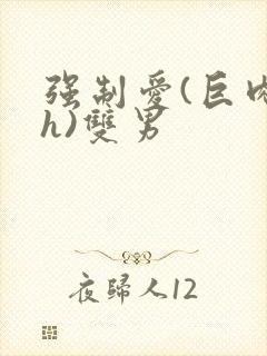 强制爱(巨肉高h)双男