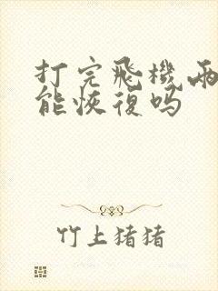 打完飞机两天后能恢复吗