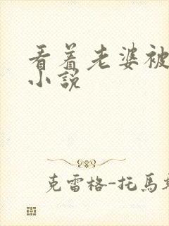 看着老婆被人干小说