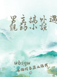 男主搞外遇毁三观的小说