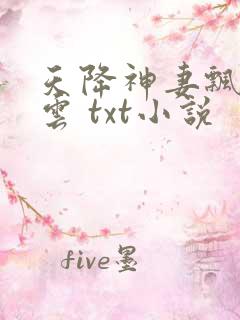 天降神妻飘荡的云 txt小说