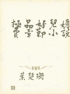 极品好儿媳的免费章节小说全文阅读