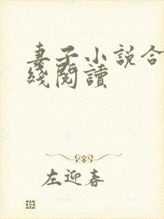 妻子小说合集在线阅读