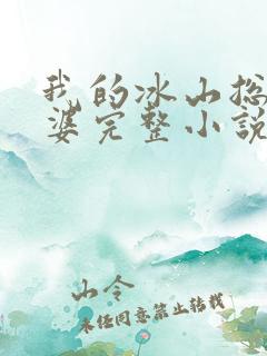 我的冰山总裁老婆完整小说