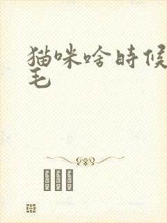 猫咪啥时候不掉毛