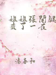 姐姐张开腿让我爽了一夜