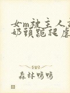 女m被主人调教奶头跪爬虐