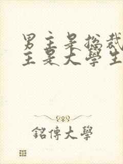 男主是总裁,女主是大学生的总裁文