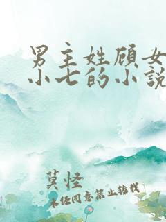 男主姓顾女主叫小七的小说