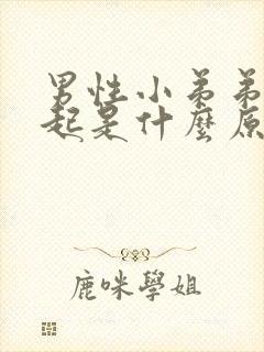 男性小弟弟硬不起是什么原因