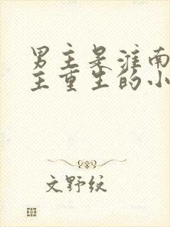 男主是淮南王女主重生的小说