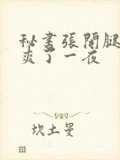 秘书张开腿让我爽了一夜