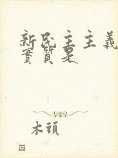 新民主主义革命实质是