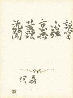 沈若京小说免费阅读无弹窗