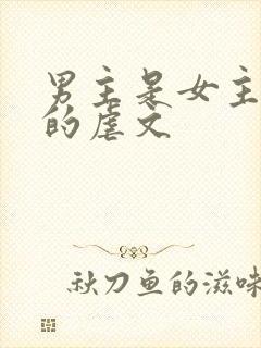 男主是女主继兄的虐文