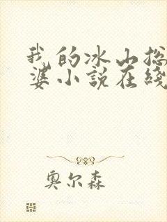 我的冰山总裁老婆小说在线阅读