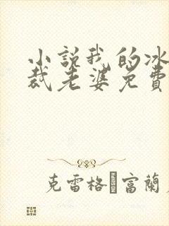 小说我的冰山总裁老婆免费阅读