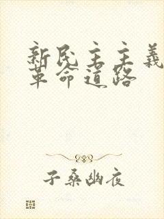 新民主主义革命革命道路