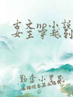 古文np小说,女主穿越到古代,后来女扮男装