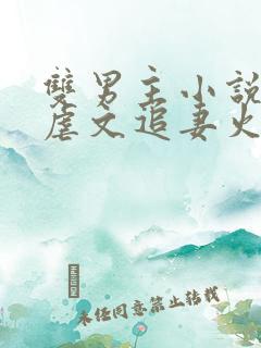 双男主小说推荐虐文追妻火葬场