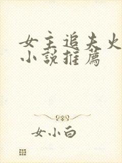 女主追夫火葬场小说推荐