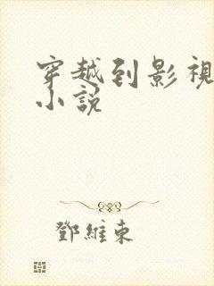 穿越到影视剧的小说