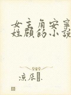 女主角安宁男主姓顾的小说