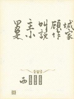 男主叫顾城女主是小说作家的小说